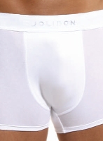 Трусы мужские-боксеры (шорты) Jolidon N200BL (цвета разные)